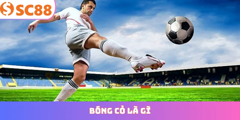 bóng cỏ là gì